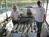 (10/02/2018) - Nice Striped Bass